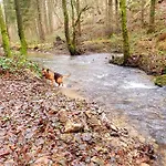 La Maison Du Sabotier Apartman