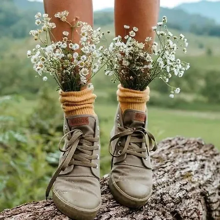 Lejlighed La Maison Du Sabotier