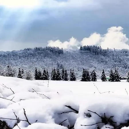 Lejlighed La Maison Du Sabotier Custinne