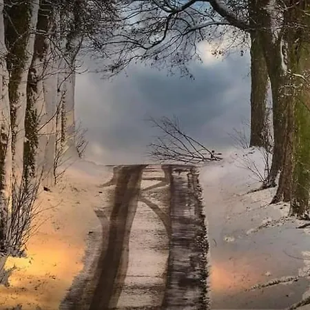 Lejlighed La Maison Du Sabotier Custinne