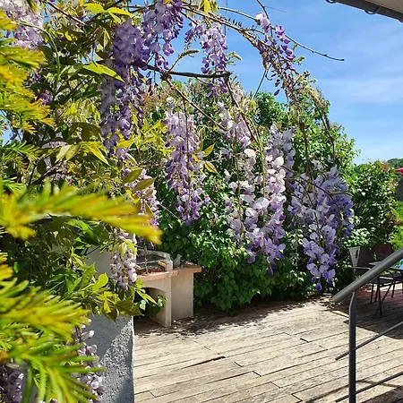 La Maison Du Sabotier Apartmán Custinne