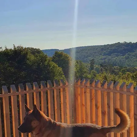 Lejlighed La Maison Du Sabotier Custinne