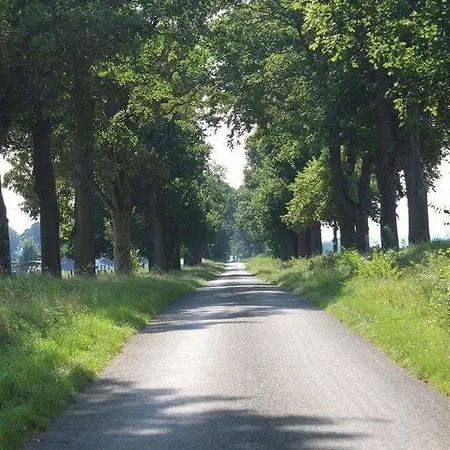 Lejlighed La Maison Du Sabotier Custinne