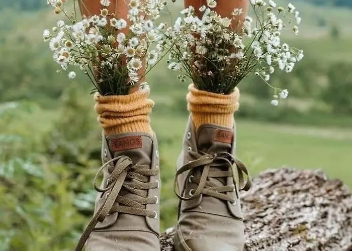 Apartmán La Maison Du Sabotier