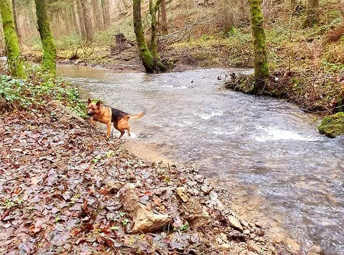 La Maison Du Sabotier Apartmán