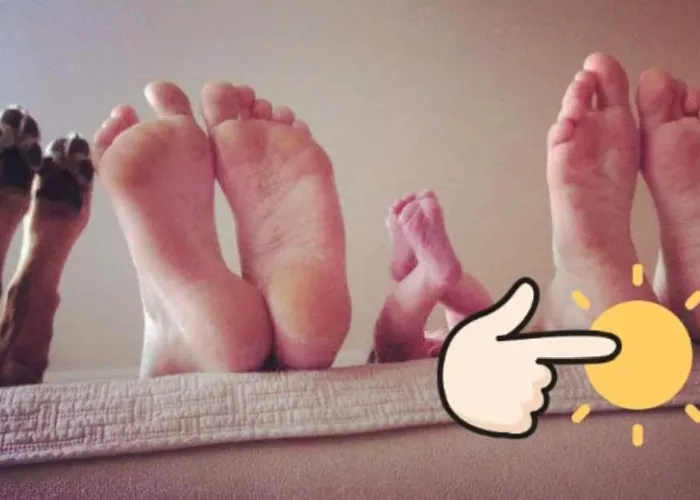 La Maison Du Sabotier *