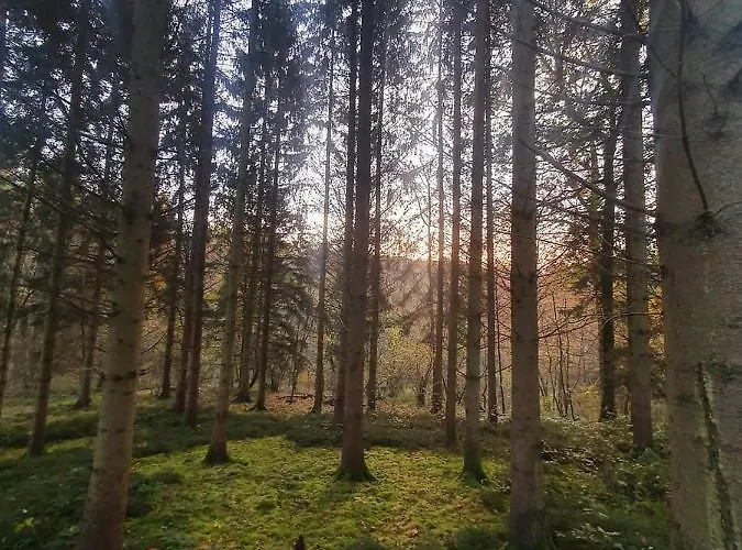 La Maison Du Sabotier Custinne
