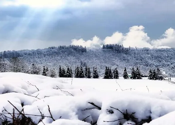 Apartmán La Maison Du Sabotier Custinne