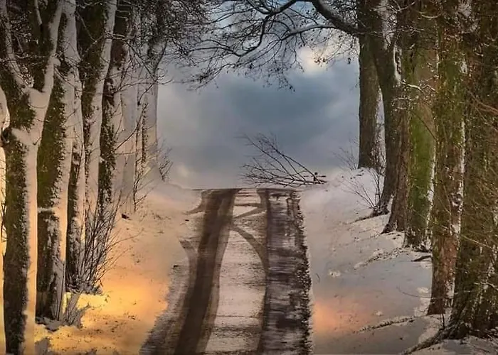 Apartmán La Maison Du Sabotier Custinne