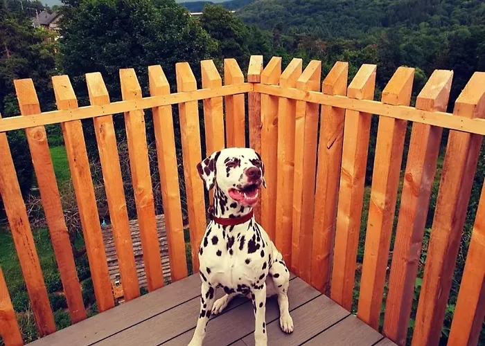 La Maison Du Sabotier *