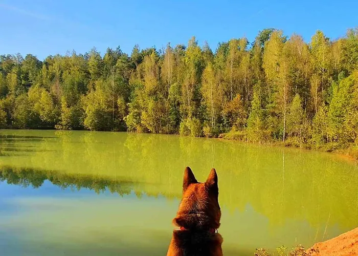 La Maison Du Sabotier *