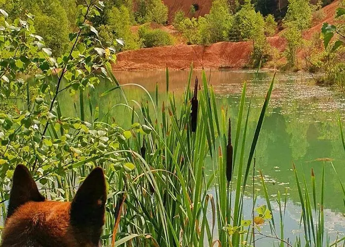 Apartmán La Maison Du Sabotier